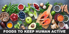 FOODS FOR KEEP HUMAN ACTIVE